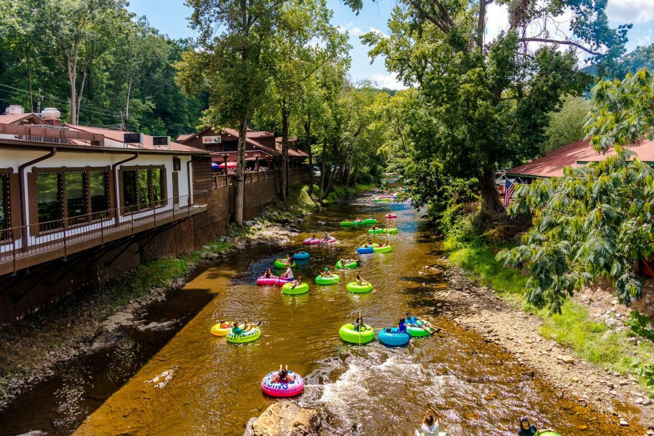 Sautee Nacoochee Forest Haven 빌라 외부 사진